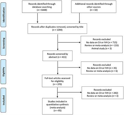 Chorioamnionitis Is a Risk Factor for Intraventricular Hemorrhage in Preterm Infants: A Systematic Review and Meta-Analysis